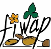 FIWAP