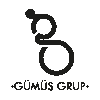 GÜMÜŞ GRUP