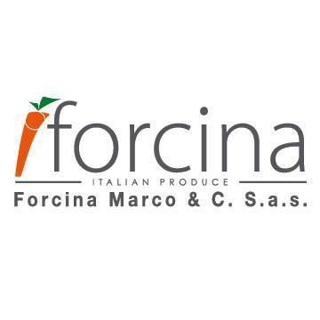 FORCINA MARCO & C. SAS