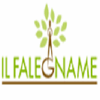 IL FALEGNAME S.R.L.