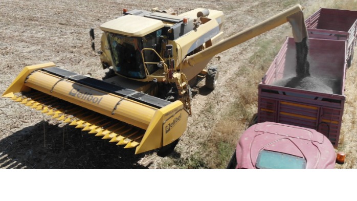 Sunflower Harvesting Header