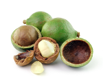 Aceite Vegetal Macadamia "macadamia ternifolia"