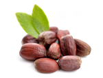 Aceite Vegetal de Jojoba "Simmondsia chinensis"