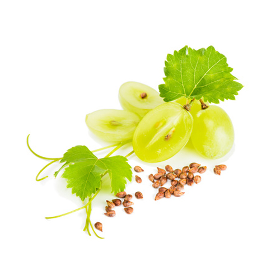 Aceite Vegetal de Pepita de Uva "vitis vinifera"