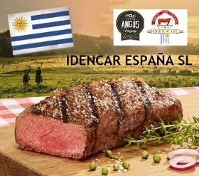 CARNES ANGUS Y HEREFORD PREMIUM