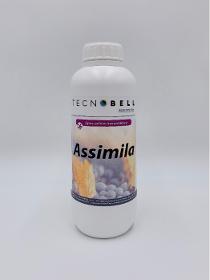 ASSIMILA