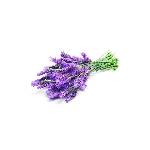 Aceite Esencial de Lavandin Grosso "lavandula hybrida"