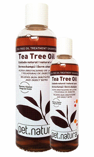 Dermochampú Tea Tree Oil