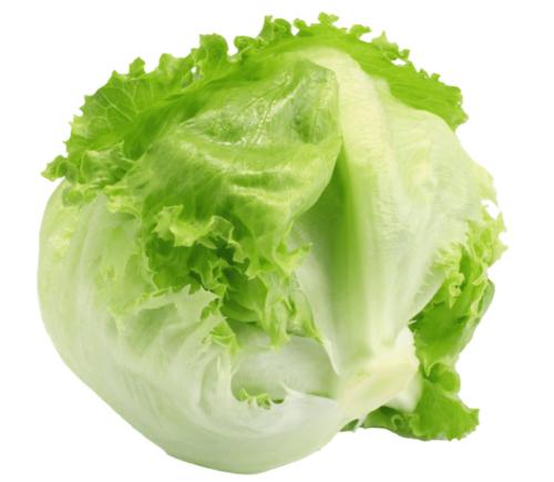 LECHUGA ICEBERG