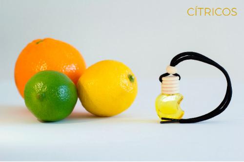 CAR ESSENTIALS - CITRICOS