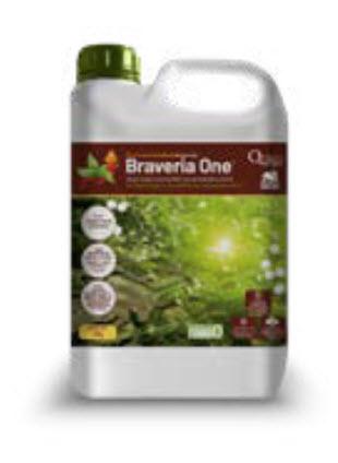 Abono órgano-mineral NPK con aminoácidos y hierro Braveria One®