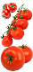 Tomates (CAMPO VERDE EXPORT S.L)
