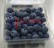 Arándanos - Blueberries (GLOBAL TRUST S.L.)