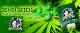 Semillas para el cultivo de marihuana (GROW BROTES VERDES S.L)